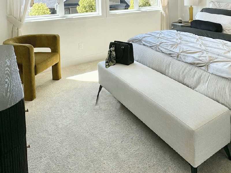 Carpet Cleaning in glasontonbury ct.